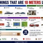 How Long Is 10 Meters 17 Common Things That Are 10 Meters Long