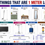 How Long Is A Meter 13 Common Things (With Real-Life Examples)